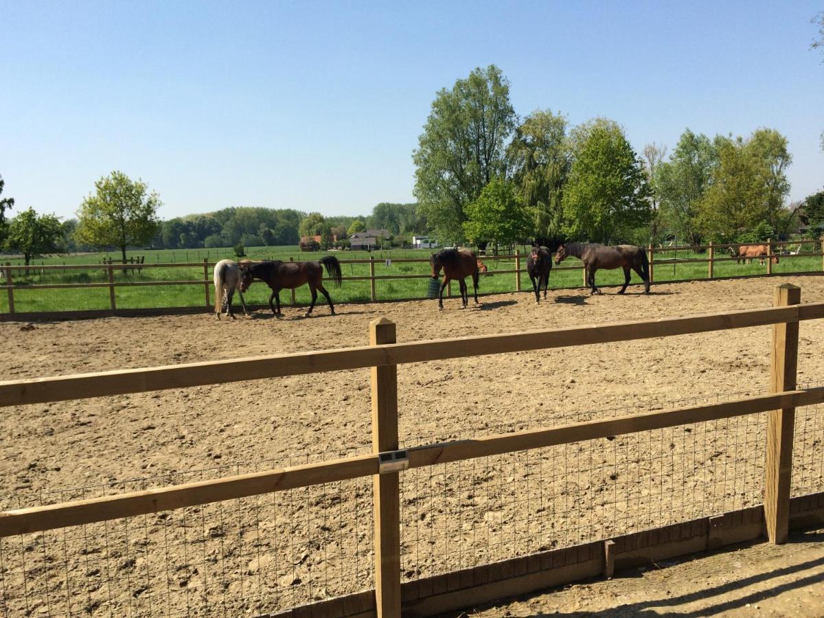 Vakantiehuisje 'T Morehof Oosterzele Zewnętrze zdjęcie