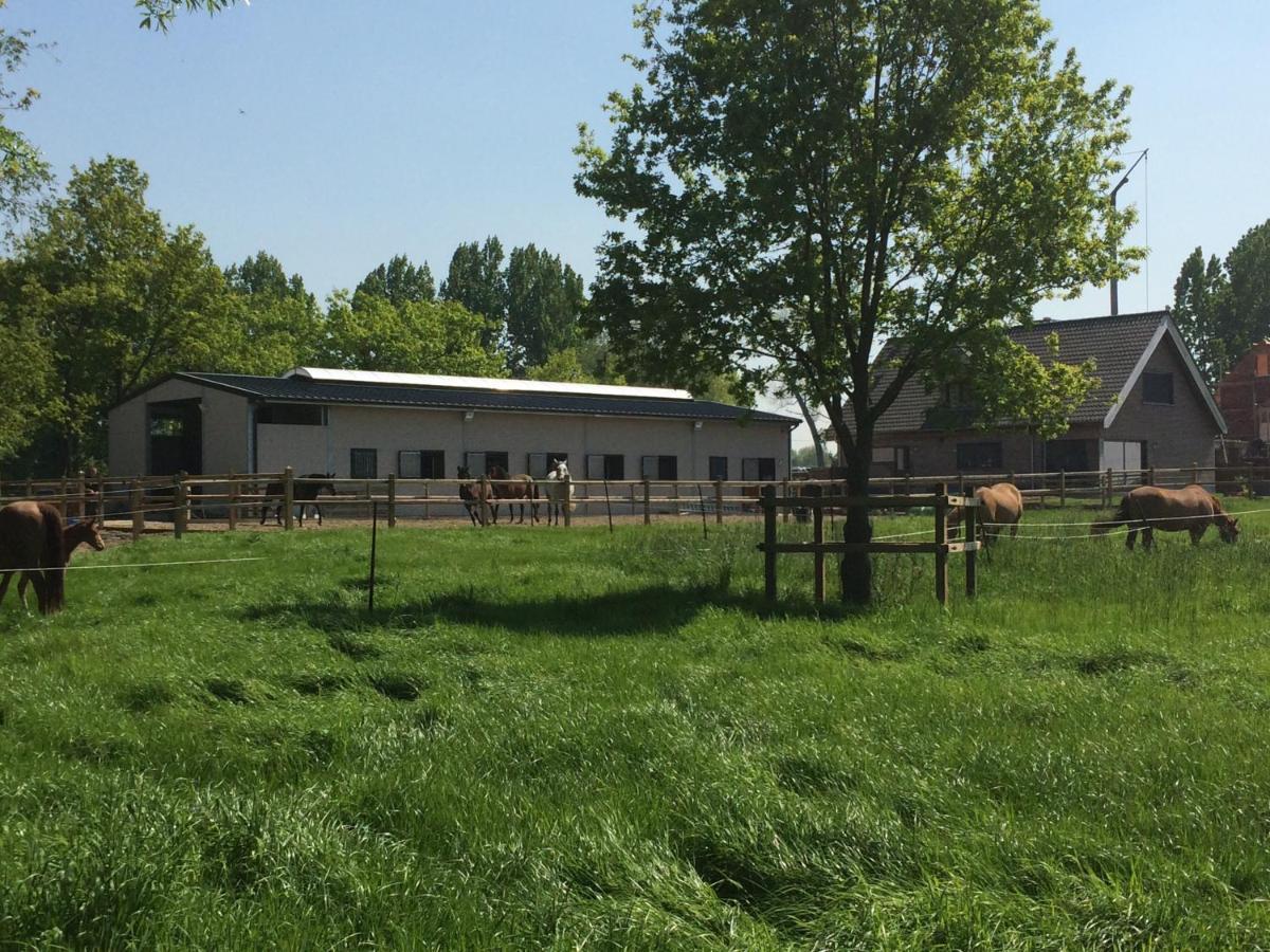 Vakantiehuisje 'T Morehof Oosterzele Zewnętrze zdjęcie