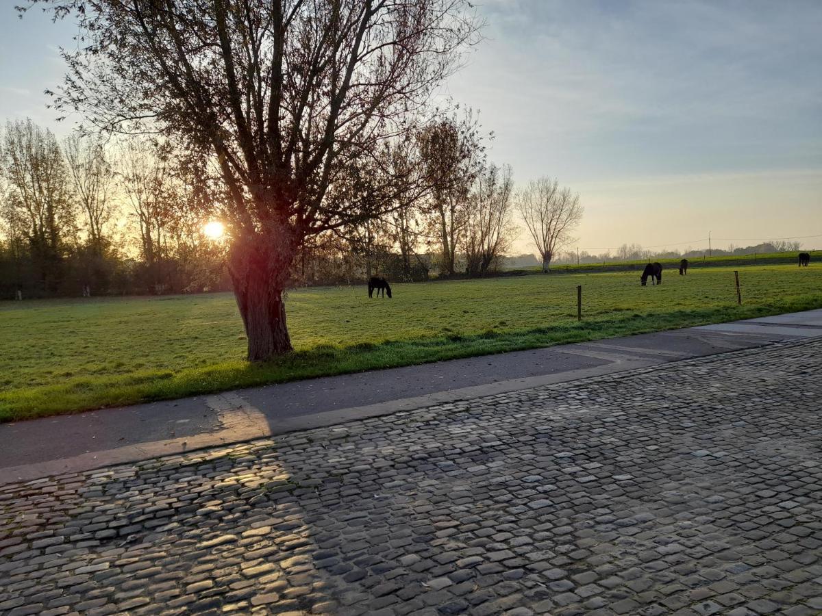 Vakantiehuisje 'T Morehof Oosterzele Zewnętrze zdjęcie